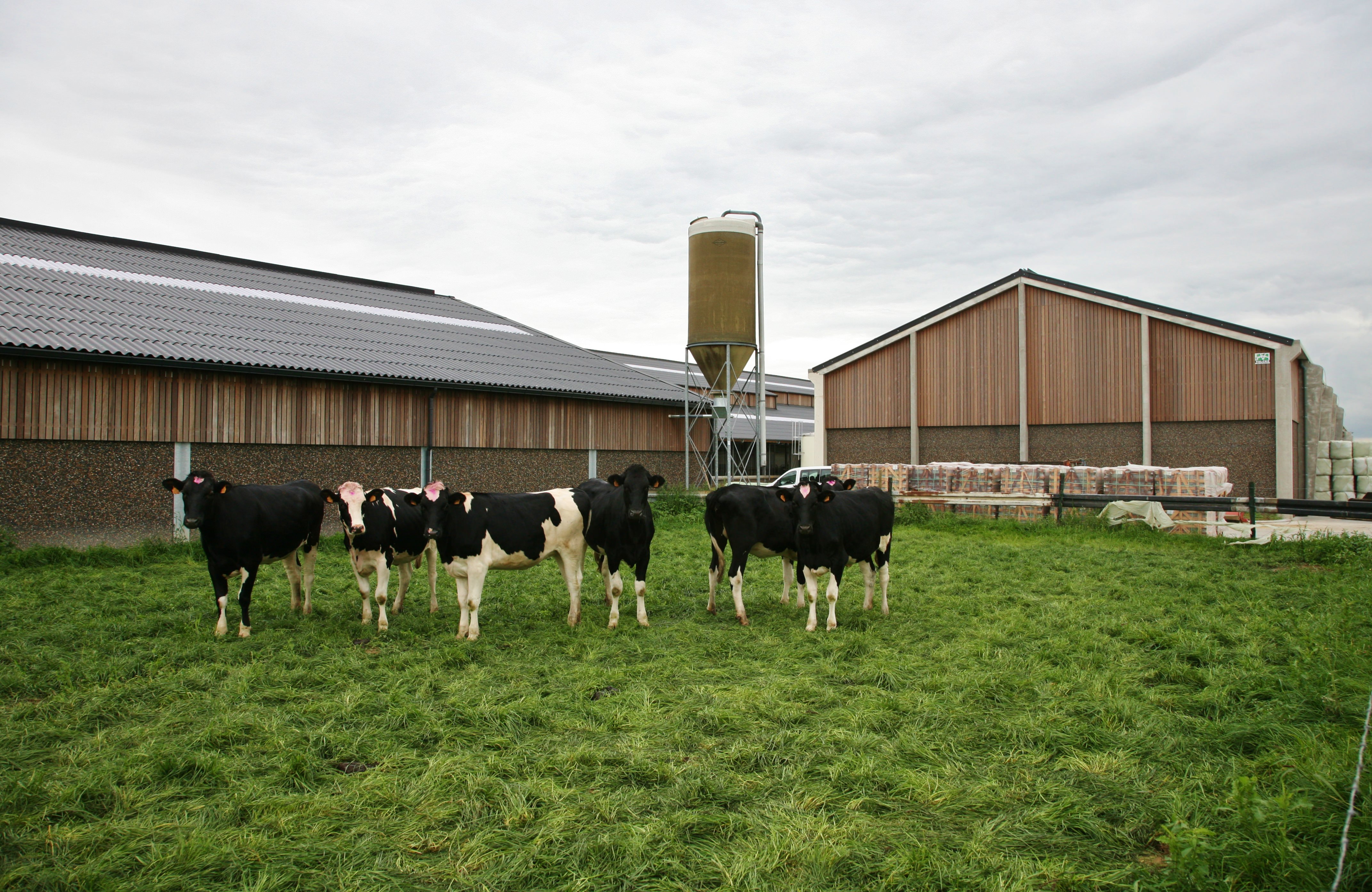 valcke-prefab-beton-stallenbouw-rundveestallen-pluimveestallen