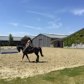  paardenpiste 